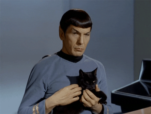 Spock acariciando a un gato con gesto contemplativo.